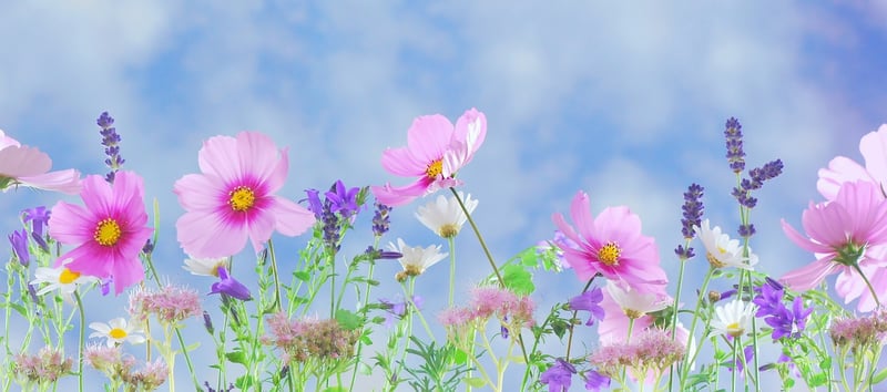 Enchanted Gardening Tools